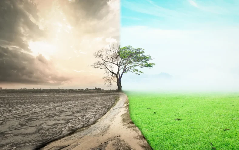 Rahasia Abundance Mindset